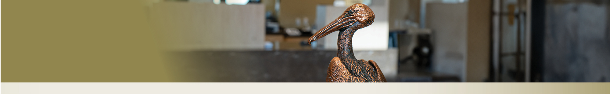 Board of Directors Image